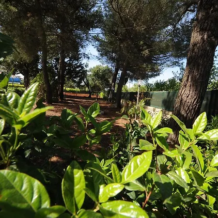 Marseglia